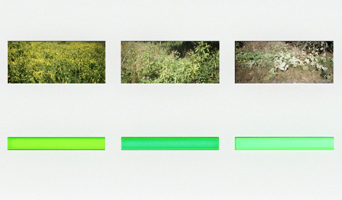 lightboxes - 7 hues, scales of green, 2005