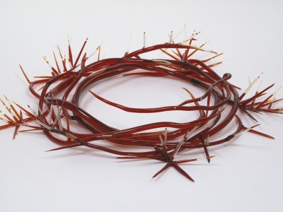 crown of thorns, 1994