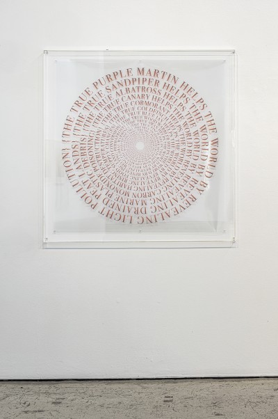 the true bird installation view